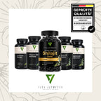 Himalaya Shilajit Gold Gummies