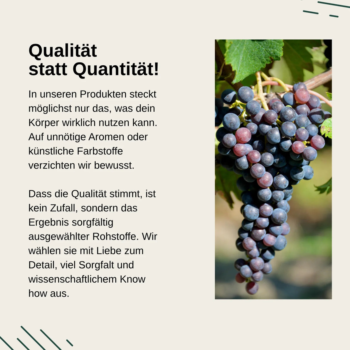 Opc Grape Seed Extract Capsules
